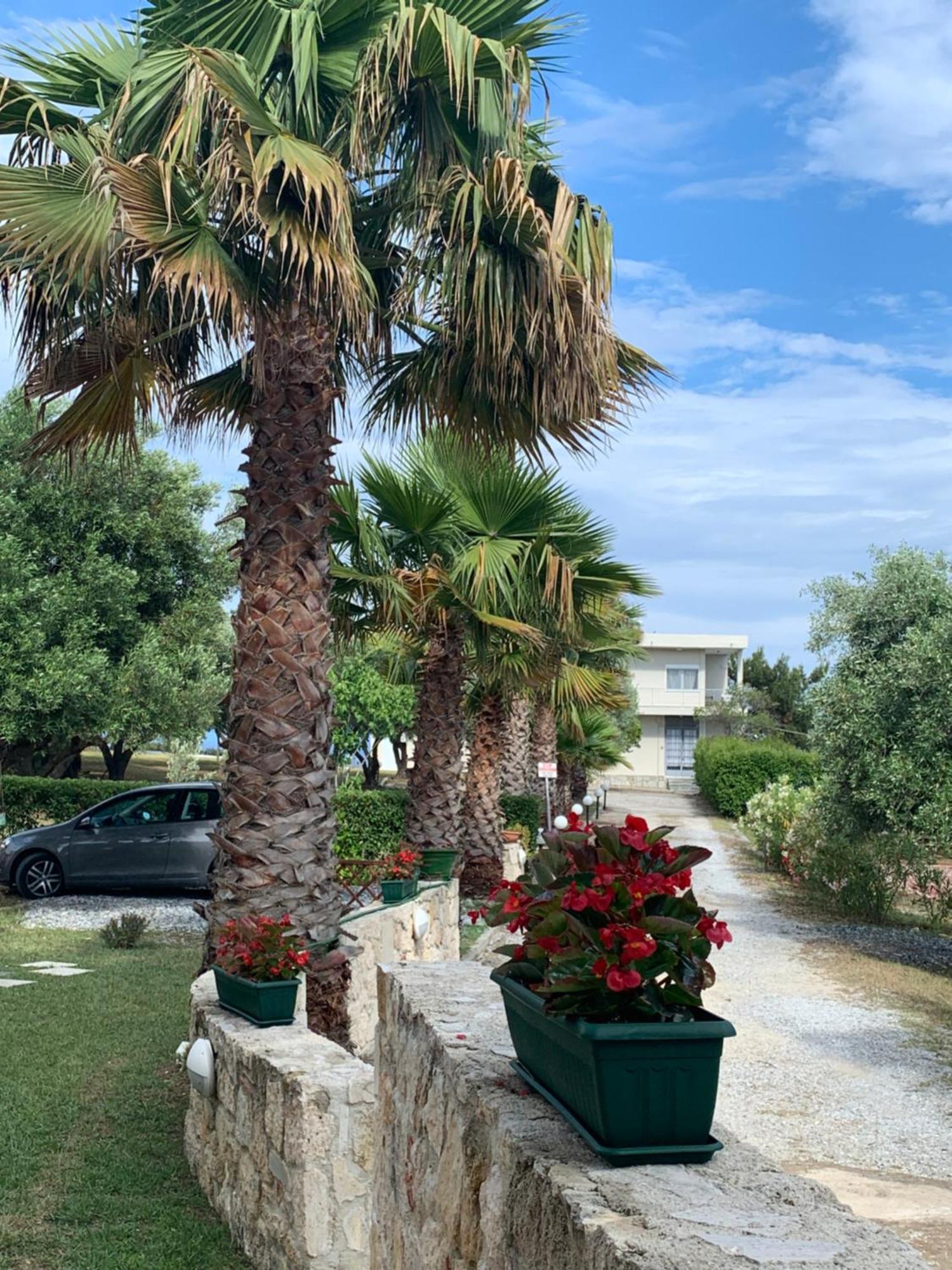 Villa Evita , Penthouse, 53M2 ,Athytos 450M From The Beach Afytos Exterior foto